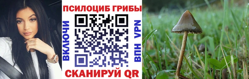 где можно купить наркотик  Всеволожск  Галлюциногенные грибы MAGIC MUSHROOMS 